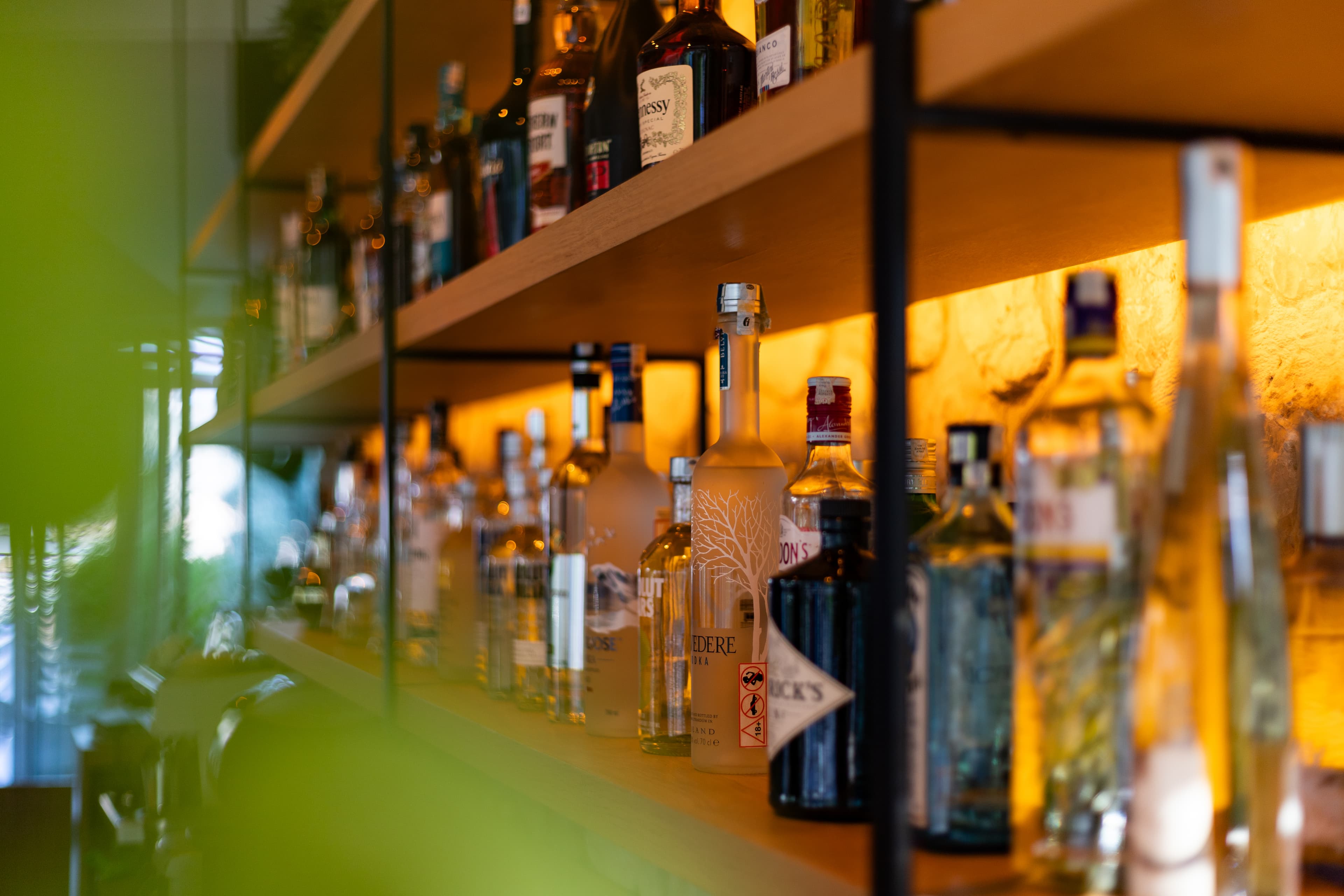 Gallery Image IMG_6620